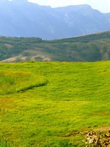 Green_Foothills_P110828