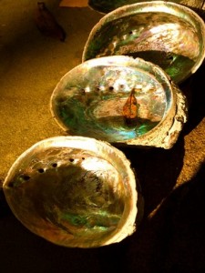 Abalone_Shells_9064