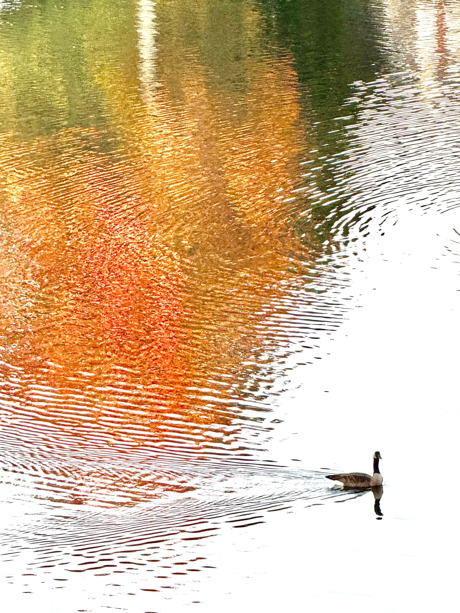 Calmness
